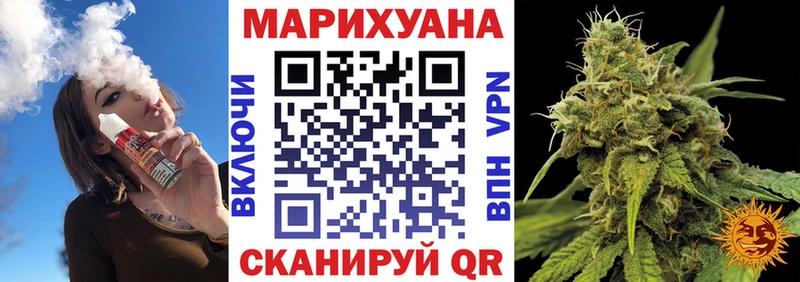Конопля Bruce Banner  цена   Талица 